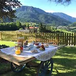 La Casa In Collina فندق مبيت وإفطار ترينتو