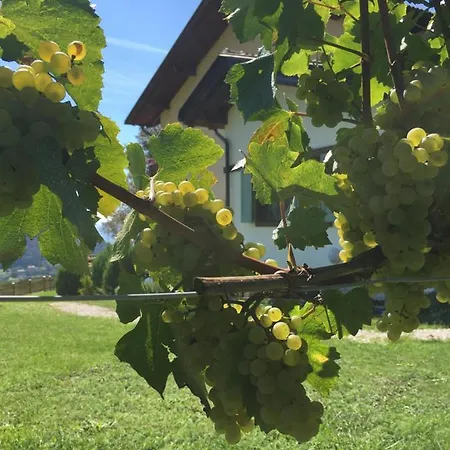 La Casa In Collina Trient