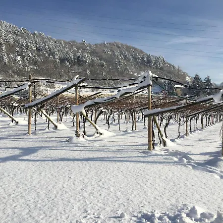 La Casa In Collina Bed & Breakfast