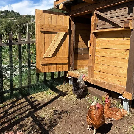 La Casa In Collina 4* Trento