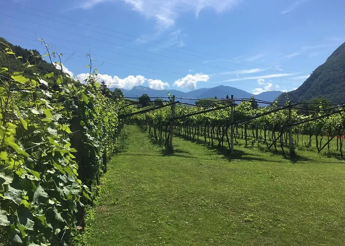 Marina “la Casa In Collina” 4*