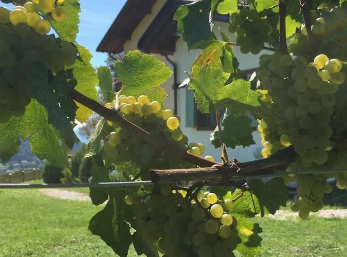 La Casa In Collina Trento