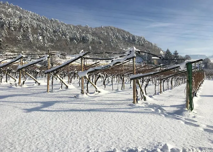 La Casa In Collina Couette-café