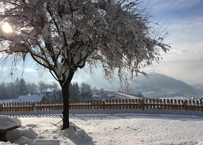 Bed & Breakfast Marina “la Casa In Collina”